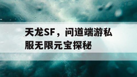 天龙SF，问道端游私服无限元宝探秘