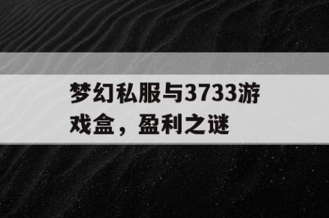 梦幻私服与3733游戏盒，盈利之谜