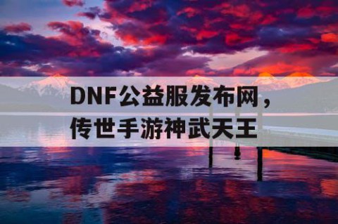 DNF公益服发布网，传世手游神武天王