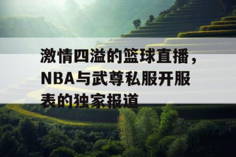 激情四溢的篮球直播，NBA与武尊私服开服表的独家报道