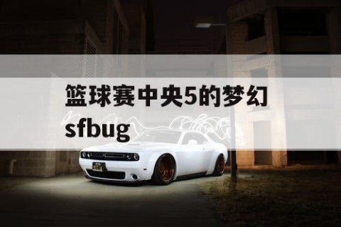 篮球赛中央5的梦幻 sfbug