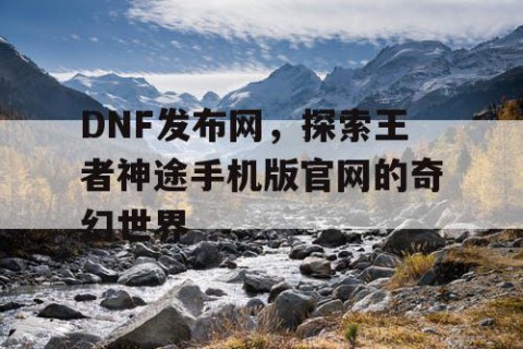 DNF发布网，探索王者神途手机版官网的奇幻世界