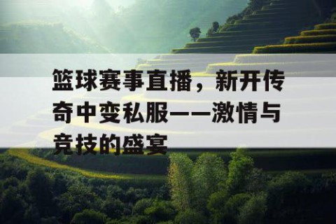篮球赛事直播，新开传奇中变私服——激情与竞技的盛宴