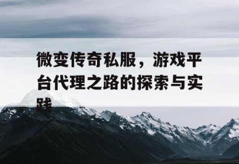 微变传奇私服，游戏平台代理之路的探索与实践