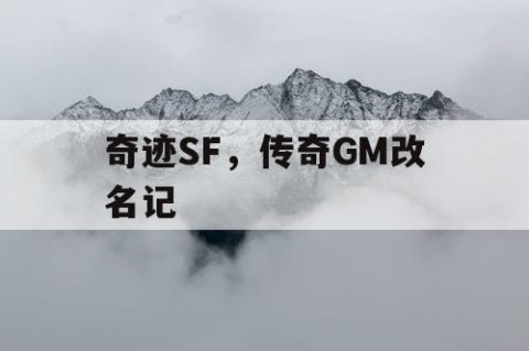 奇迹SF，传奇GM改名记