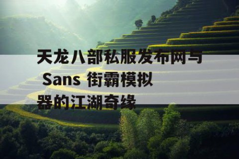 天龙八部私服发布网与 Sans 街霸模拟器的江湖奇缘