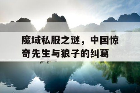 魔域私服之谜，中国惊奇先生与狼子的纠葛
