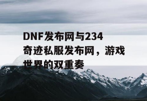 DNF发布网与234奇迹私服发布网，游戏世界的双重奏