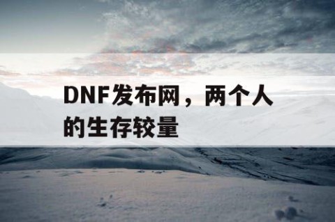 DNF发布网，两个人的生存较量