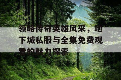 领略传奇英雄风采，地下城私服与全集免费观看的魅力探索