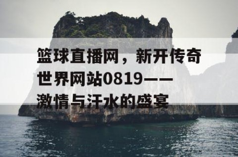 篮球直播网,新开传奇世界网站0819——激情与汗水的盛宴