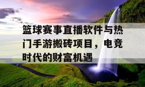 篮球赛事直播软件与热门手游搬砖项目,电竞时代的财富机遇