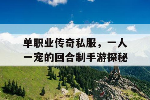 单职业传奇私服,一人一宠的回合制手游探秘