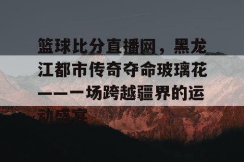 篮球比分直播网，黑龙江都市传奇夺命玻璃花——一场跨越疆界的运动盛宴