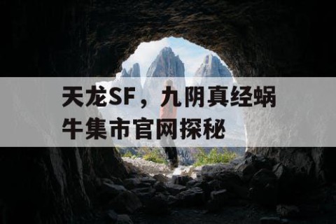 天龙SF，九阴真经蜗牛集市官网探秘