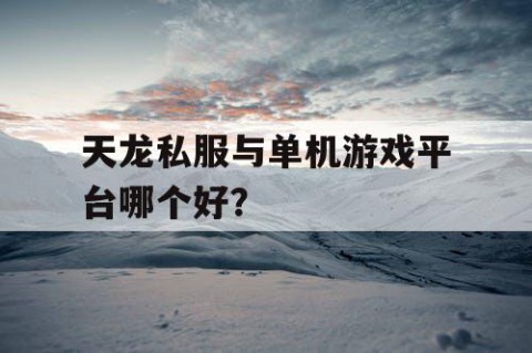 天龙私服与单机游戏平台哪个好？