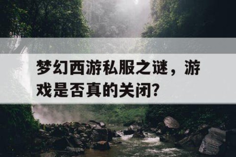 梦幻西游私服之谜，游戏是否真的关闭？