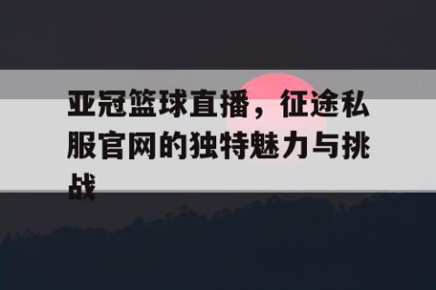 亚冠篮球直播,征途私服官网的独特魅力与挑战