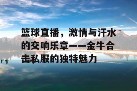 篮球直播，激情与汗水的交响乐章——金牛合击私服的独特魅力