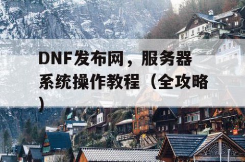 DNF发布网，服务器系统操作教程（全攻略）