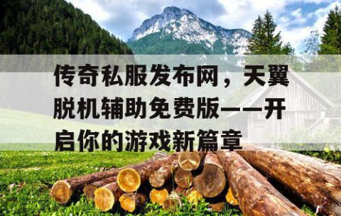 传奇私服发布网,天翼脱机辅助免费版——开启你的游戏新篇章