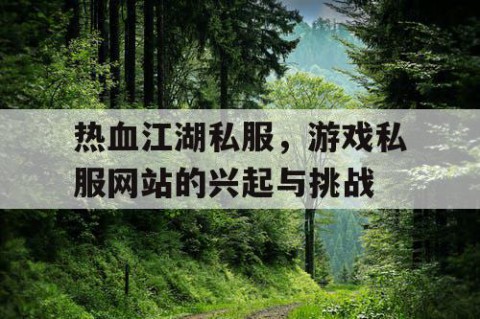 热血江湖私服，游戏私服网站的兴起与挑战
