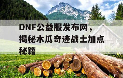 DNF公益服发布网，揭秘木瓜奇迹战士加点秘籍