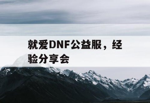 就爱DNF公益服，经验分享会