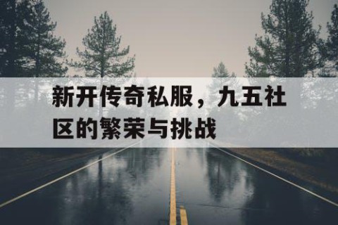 新开传奇私服，九五社区的繁荣与挑战