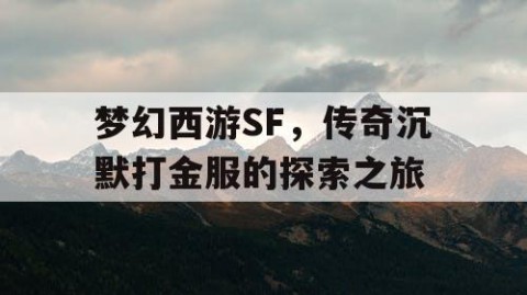 梦幻西游SF，传奇沉默打金服的探索之旅