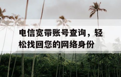 电信宽带账号查询，轻松找回您的网络身份
