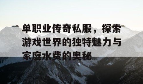 单职业传奇私服,探索游戏世界的独特魅力与家庭水费的奥秘