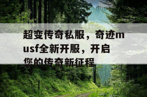 超变传奇私服，奇迹musf全新开服，开启您的传奇新征程