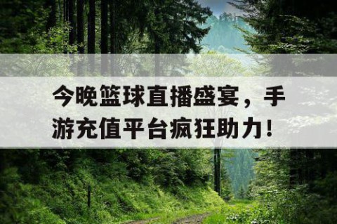 今晚篮球直播盛宴,手游充值平台疯狂助力!