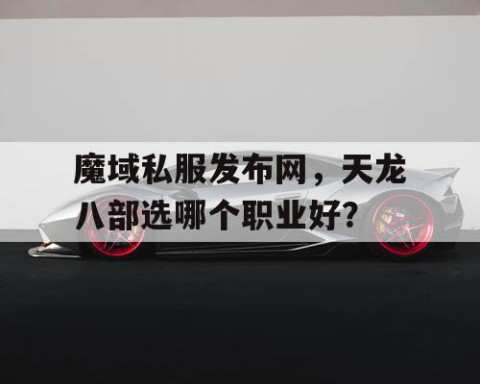 魔域私服发布网，天龙八部选哪个职业好？