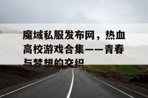 魔域私服发布网，热血高校游戏合集——青春与梦想的交织