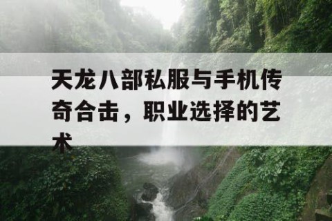 天龙八部私服与手机传奇合击，职业选择的艺术
