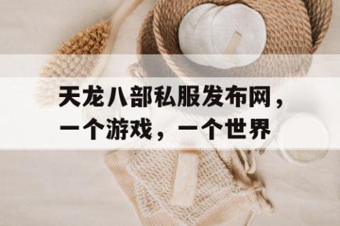 天龙八部私服发布网，一个游戏，一个世界