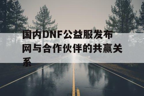 国内DNF公益服发布网与合作伙伴的共赢关系