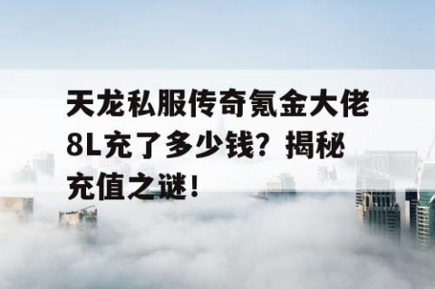 天龙私服传奇氪金大佬8L充了多少钱？揭秘充值之谜！