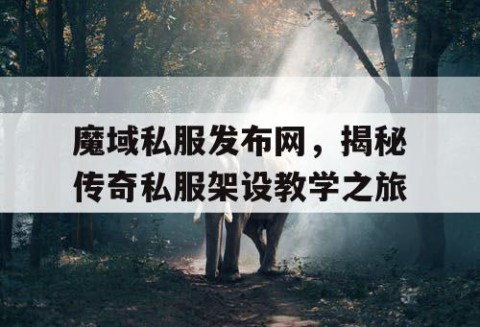 魔域私服发布网，揭秘传奇私服架设教学之旅