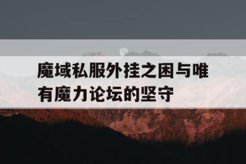 魔域私服外挂之困与唯有魔力论坛的坚守