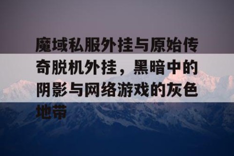 魔域私服外挂与原始传奇脱机外挂，黑暗中的阴影与网络游戏的灰色地带