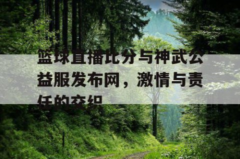 篮球直播比分与神武公益服发布网，激情与责任的交织
