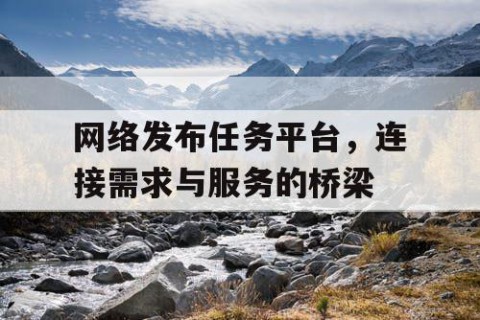 网络发布任务平台，连接需求与服务的桥梁