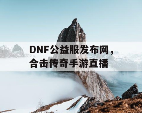 DNF公益服发布网，合击传奇手游直播