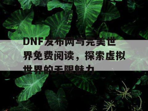 DNF发布网与完美世界免费阅读，探索虚拟世界的无限魅力