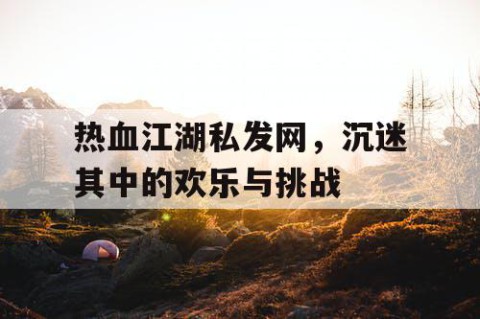 热血江湖私发网，沉迷其中的欢乐与挑战