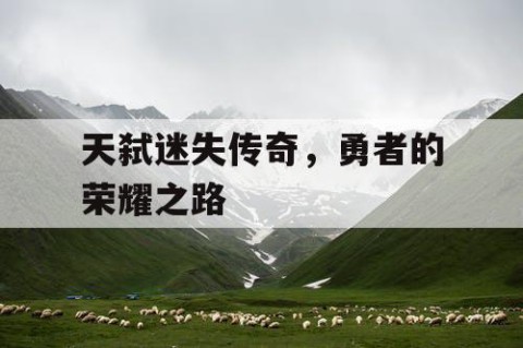 天弑迷失传奇，勇者的荣耀之路