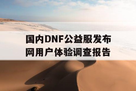 国内DNF公益服发布网用户体验调查报告